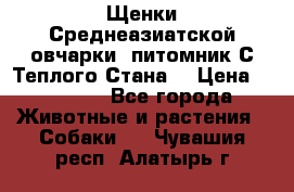 Щенки Среднеазиатской овчарки (питомник С Теплого Стана) › Цена ­ 20 000 - Все города Животные и растения » Собаки   . Чувашия респ.,Алатырь г.